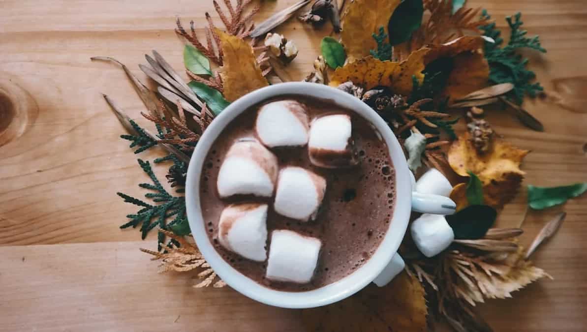 Link Between Your Favourite Hot Chocolate And Ancient Mayans 
