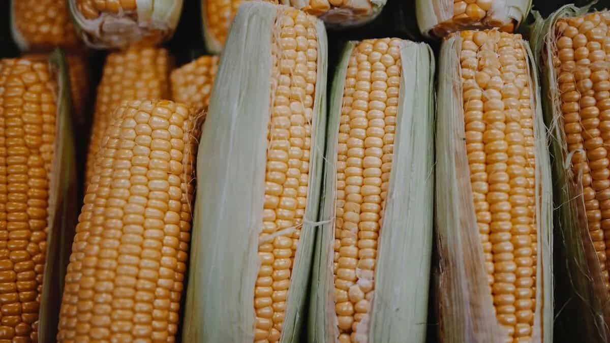 Try These 4 Dishes You Can Make With Corns