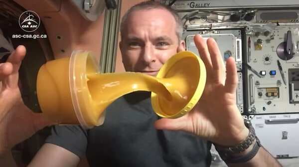 Viral: This Unbelievable Video Showing How Honey Reacts In Outer Space Is Mind-Boggling!