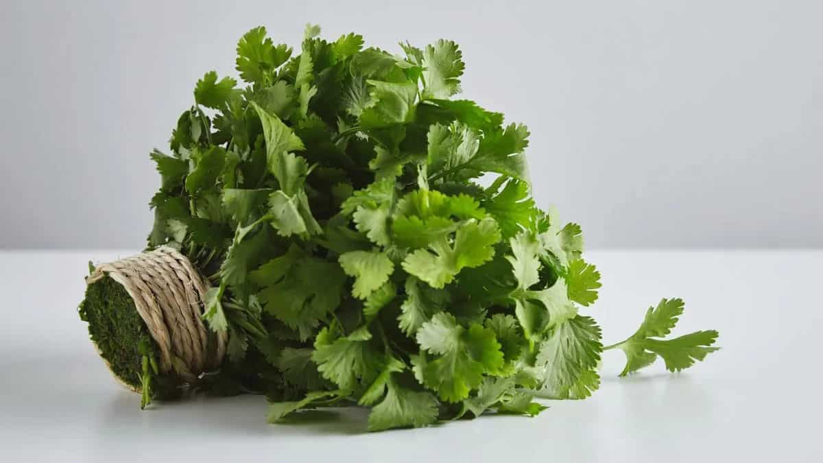 Herbs: A Healthy Way To Enhance The Flavours Of Your Cooking