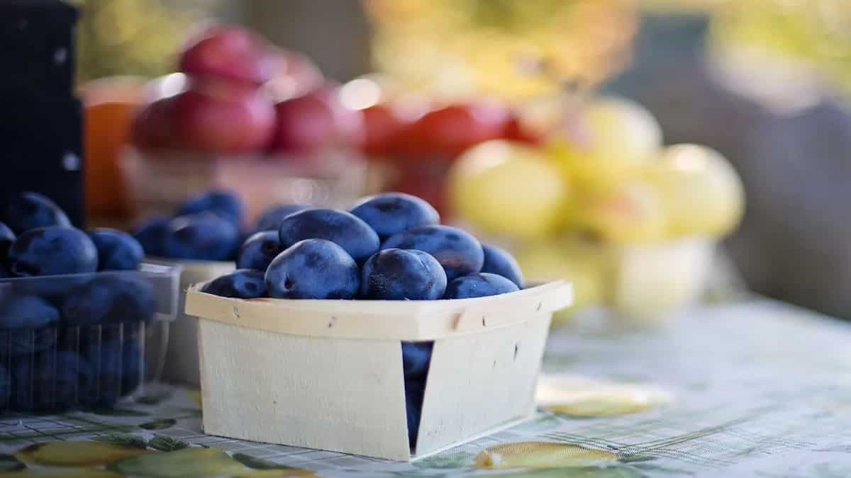 5 Impressive Health Benefits Of Plums You Should Know