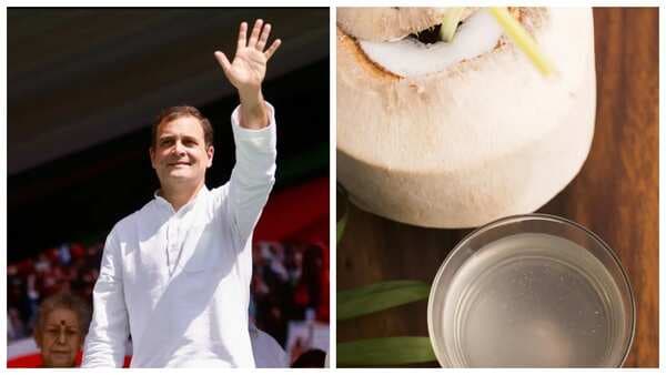 Rahul Gandhi Sips On Coconut Water: 3 Reasons You Should Too