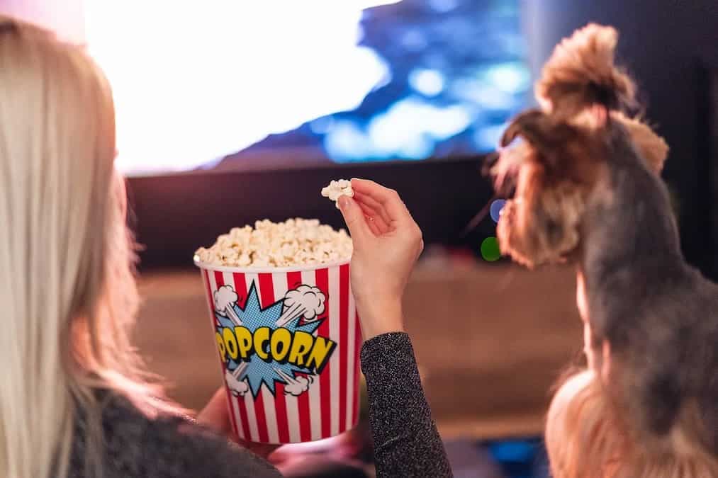 Fond Of Eating And Watching Movies Too? This Funny Video Explains It