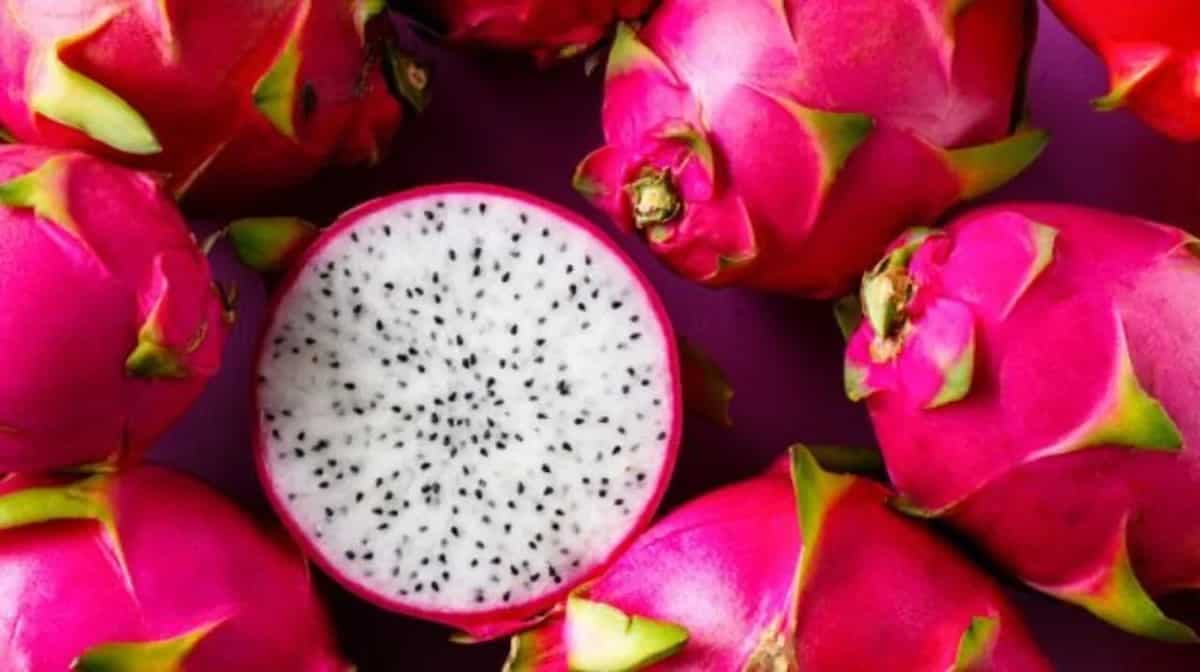Cheers To Nagaland’s First Organic Dragon Fruit Wine