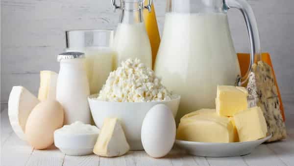 Why Milk Is Important In Indian Cuisine