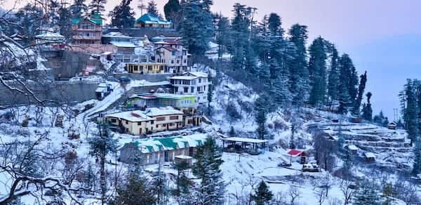 Hills Are Calling: Must-Visit These 5 Cafes In Shimla 