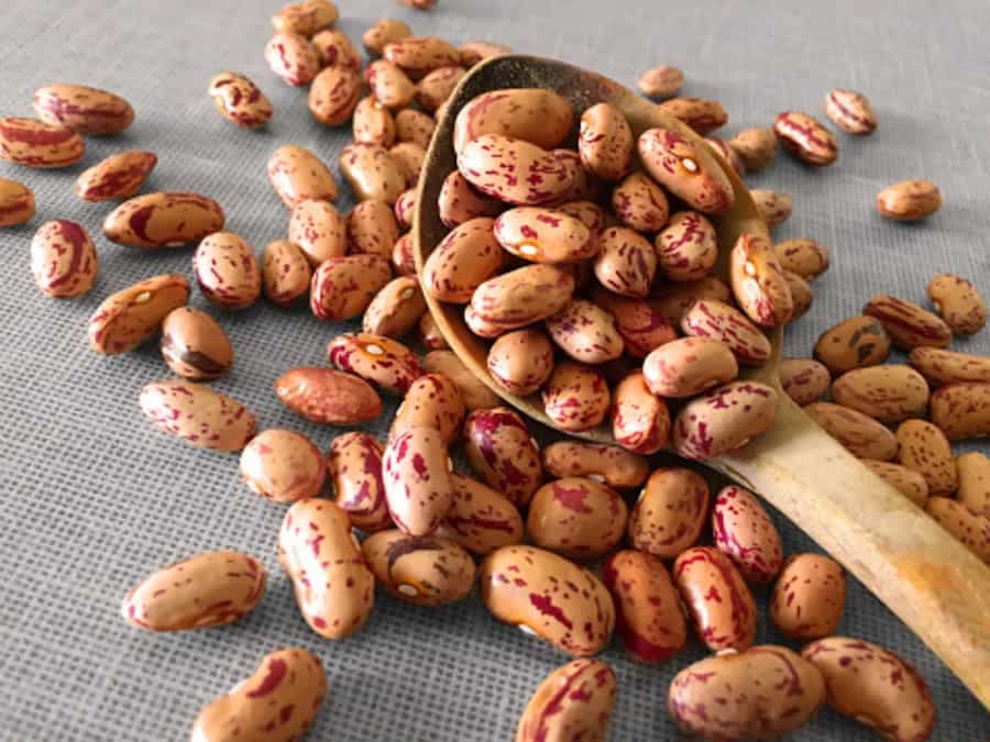 Can Beans Make You Feel Bloated? Proper Way To Cook Them