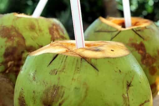 What makes coconut water such a popular summer drink? Here are 6 Reasons 