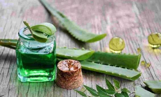 Why Neem And Aloe Vera Should Be Added To Your Skincare Essentials?