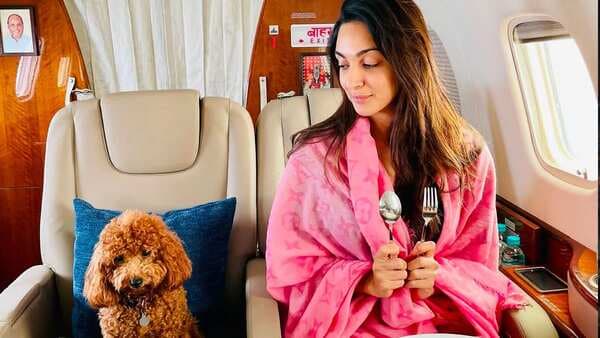 Kiara Advani’s Pawsome Dinner Date Is Going Viral Online