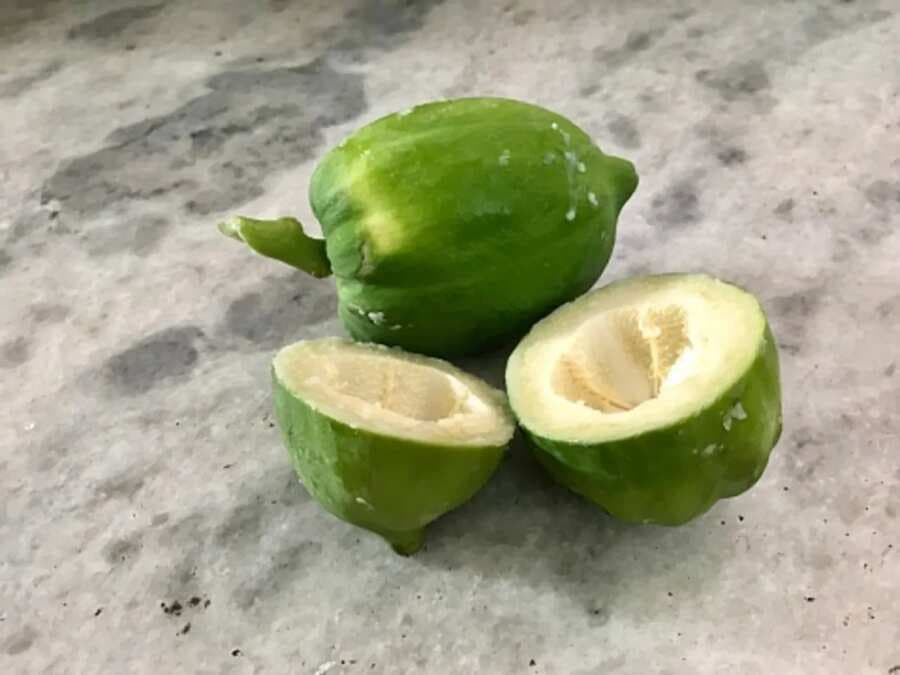 Easy Green Papaya Recipes For Weight Loss