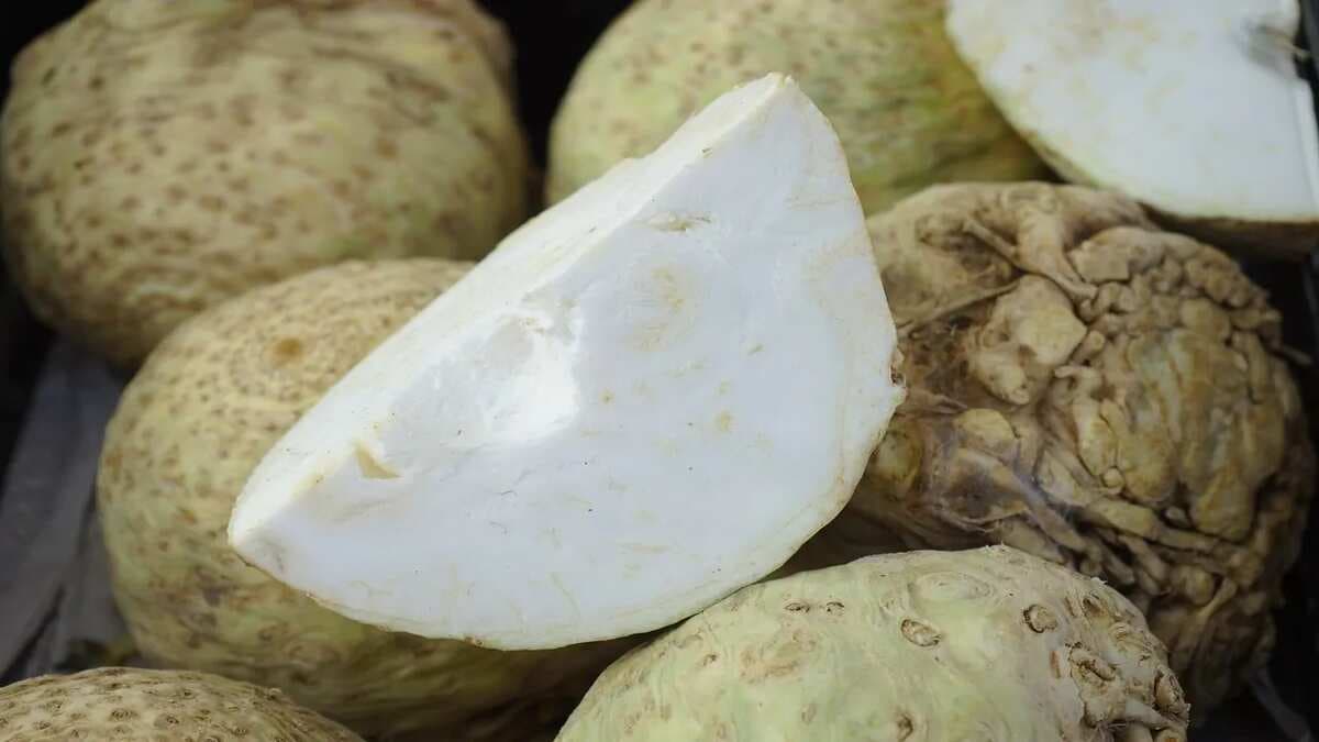 Celeriac: Why And How To Include It In Your Diet?