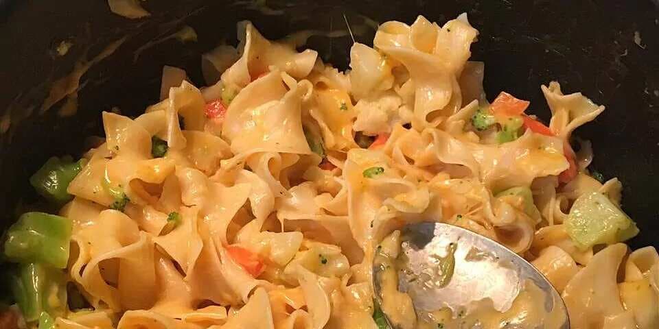 Cheesy Vegetables And Noodles