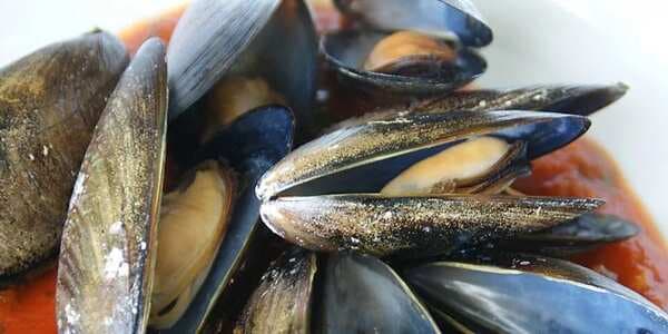 Appetizer Mussels