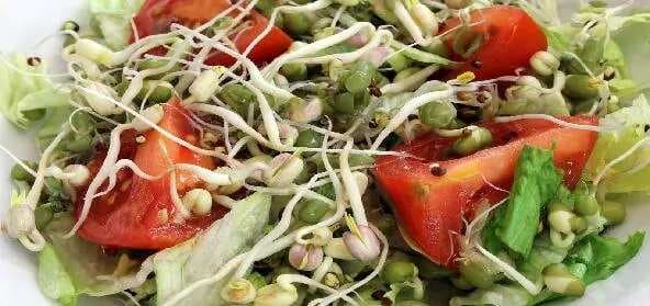 Sizzling Sprouted Moong Salad