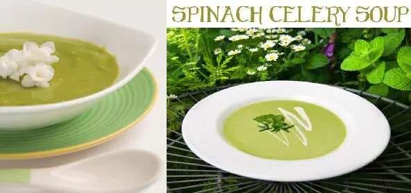 Spinach Celery Soup