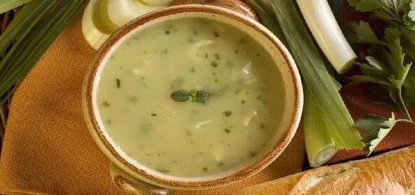 Vegetable Soup Chowder