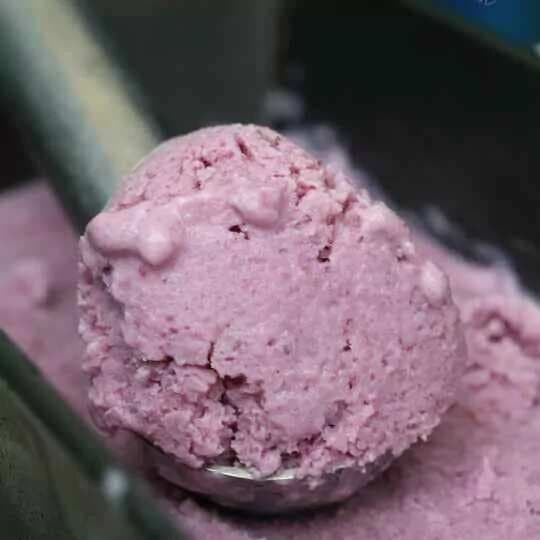 Jamun ice cream (indian java plum ice cream)