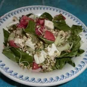 Moong sprouts and spinach salad