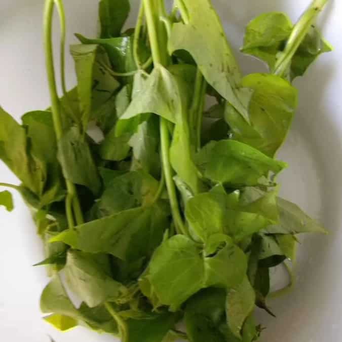 Sweet potato leaves with split green gram (moong dal)