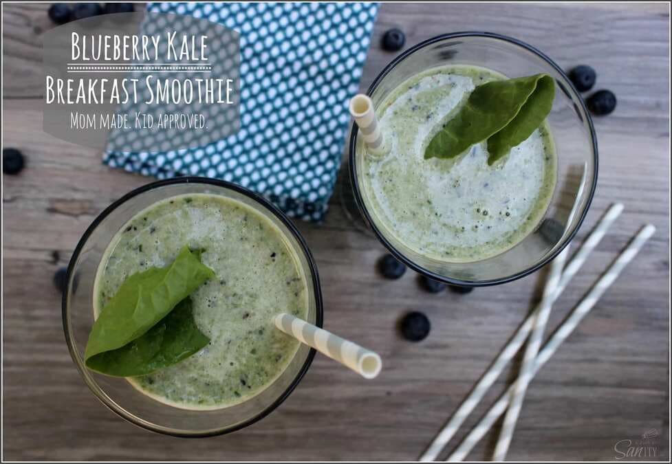 Blueberry Kale Breakfast Smoothie