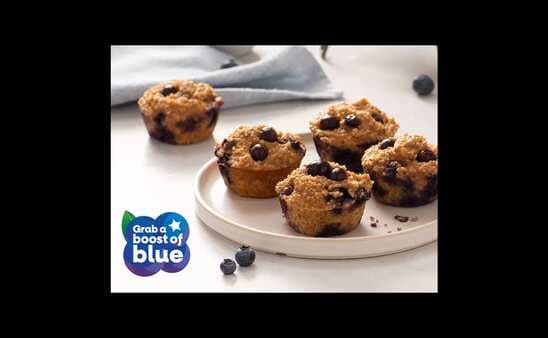 5 Ingredient Blueberry Protein Muffins