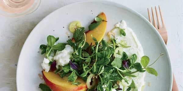 Burrata Salad With Peaches, Pickled Pepper And Pea Tendrils