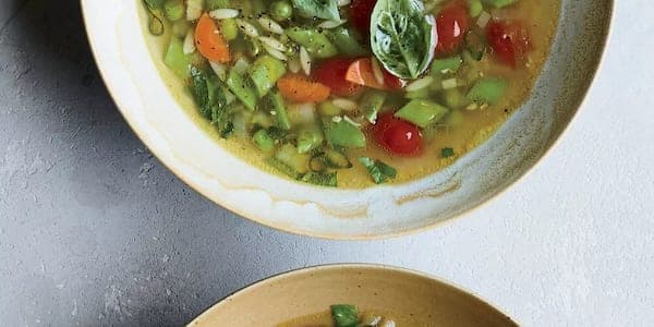 Chicken-Orzo Soup With 10 Vegetables