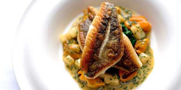 Pan Fried John Dory With Mussels