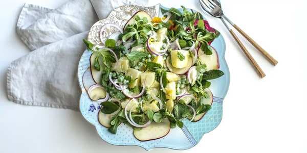 Potato Salad With Yoghurt Dressing