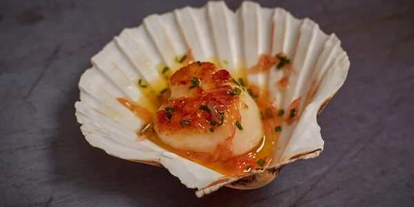 Scallop, Brown Butter, Pink Grapefruit And Tarragon Canape
