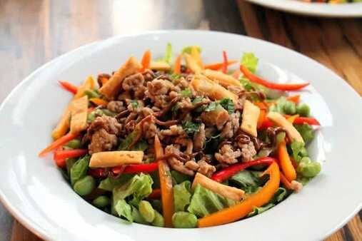 Thai Chicken Salad With Peanut Dressing