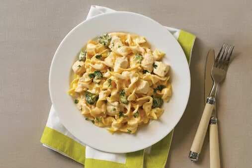Cheesy Chicken With Egg Noodles