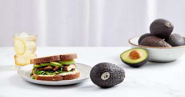 Grilled Chicken And California Avocado Sandwich