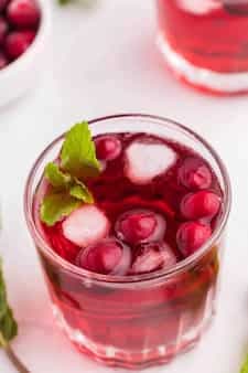 Cranberry Mint Mocktail