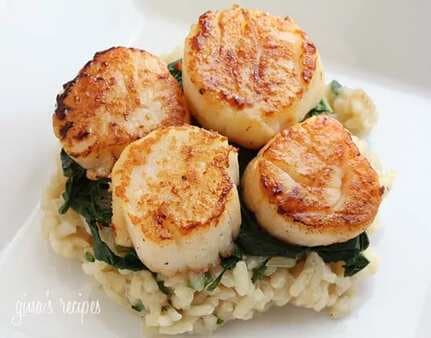 Seared Scallops Over Wilted Spinach And Parmesan Risotto