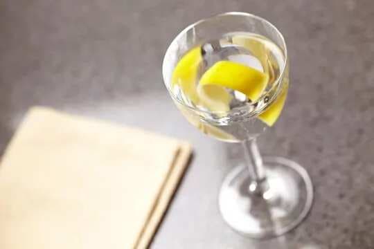 Tanqueray Ten Martini
