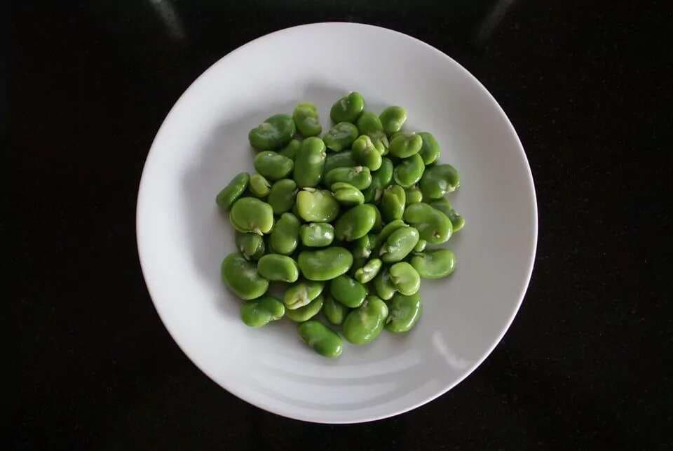 Sauted Fava Beans