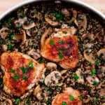 Chicken Quinoa with Mushrooms