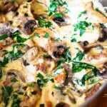 Chicken and Spinach In Creamy Parmesan Mushroom Sauce