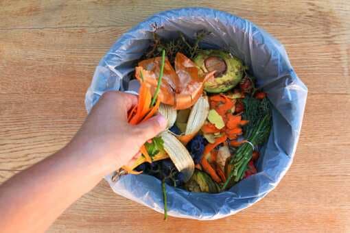 Essential Tips To Reduce Food Waste And Repurpose It