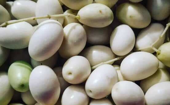 Heard About White Olives? Read To Know More