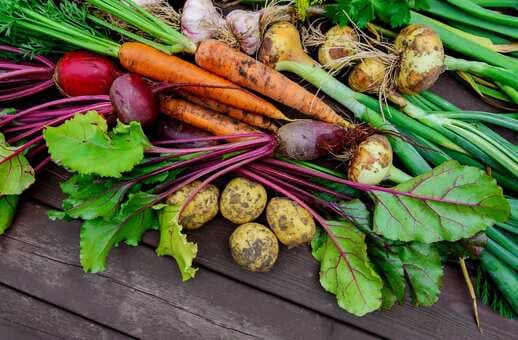 Root Vegetables: Everything You Need To Know 