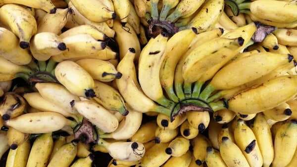 Elaichi Bananas: This Tiny Fruit Comes With Many Health Benefits