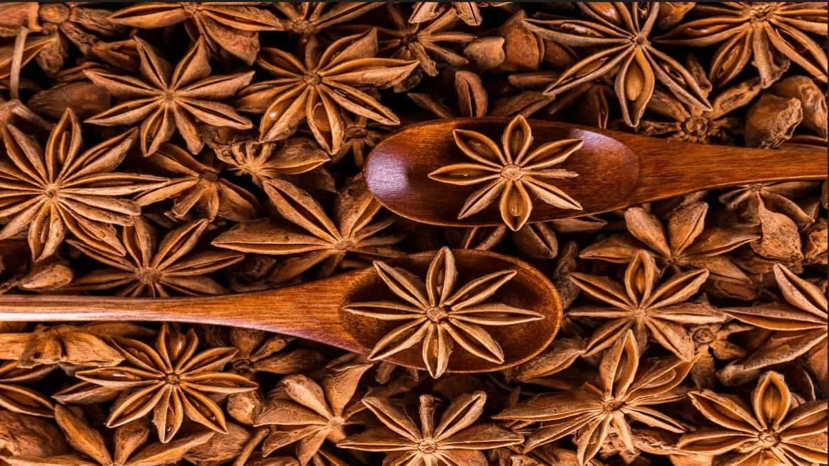 Star Anise, The Spice With Beauty, Aroma, And Indigenousness