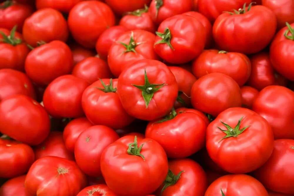 Tomatoes: The Best Ways To Cook This Kitchen Staple 