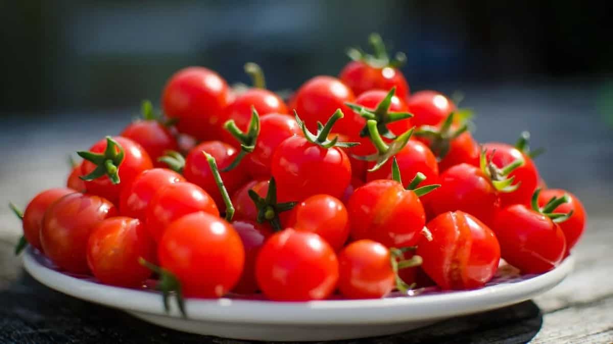 Cherry Tomato: This Tiny Fruit Comes With Numerous Benefits 