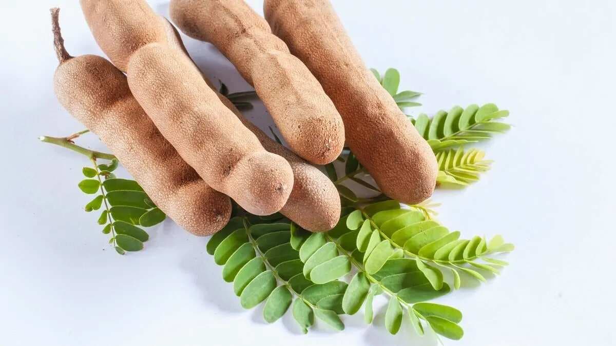 The Tangy Delight: How Tamarind Fits In Indian Cuisine