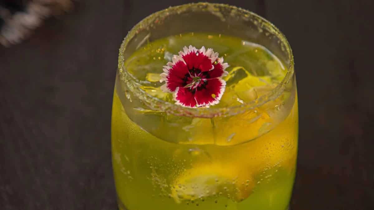 Christmas 2022 - Try These Cocktail Recipes