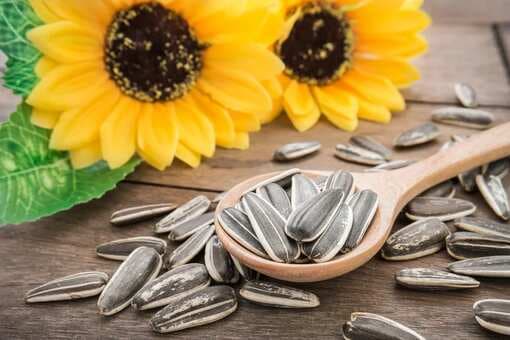 The Power Of Sunflower Seeds: Health Benefits You Need To Know 